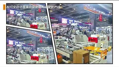 Film-to-Pallet Packaging Line | Fully Automated Shrink Wrapping & Palletizing Solution