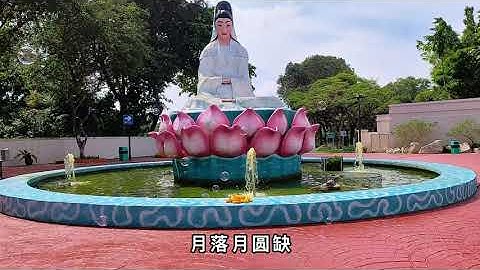 Insta360 One RS Slow Motion 100fps