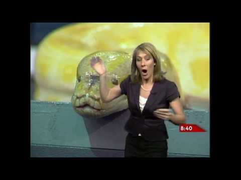 Classic on-air bloopers from Global News meteorologist