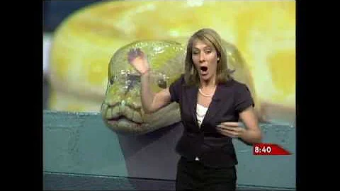 Classic on-air bloopers from Global News meteorolo...