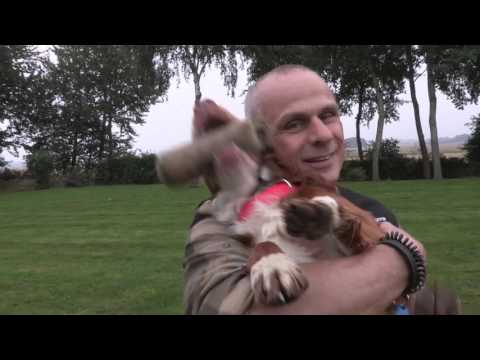 Video: Sådan træner du en hund europæisk stil med en stille fløjte