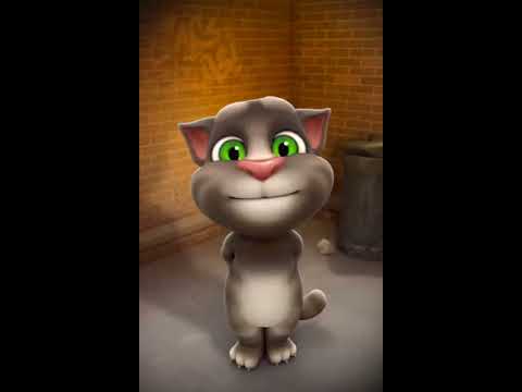 წოწი Talking Tom