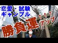 【太田道灌が必勝祈願】勝負運をアップする駒込妙義神社 恋愛 試験 ギャンブルに勝つ komagome myougi ...