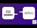 Odoo Woocommerce Connector, Multiple Woocommerce store connection