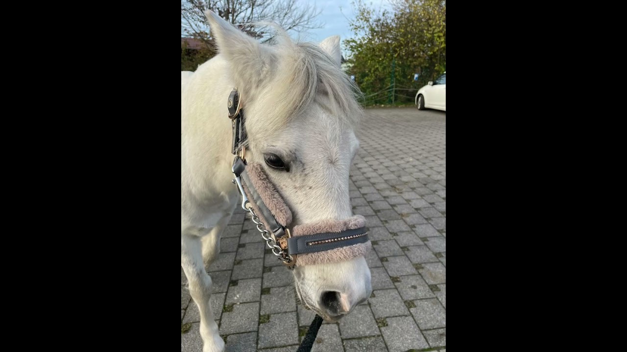 Es ist mein erstes Mal 🥹😂😅🫶🏻💖. Ich hatte keine andere Idee. Schreibt Wünsche in die Kommentare 🫶🏻❣️💕