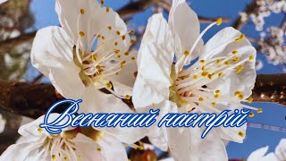 Ніжність весни. Весняний настрій #природа #весна #світua #весналікує #веснаприйшла #ніжнавесна