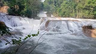 Cascadas de Agua Azúl, Chiapas, México.