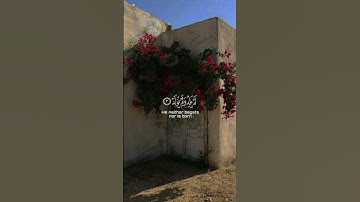 قُل هو اللَّه أحد|سورة الإخلاص|القارئ فارس عباد