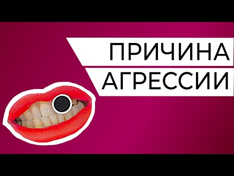 Причина агрессивного поведения и способ справиться с ним