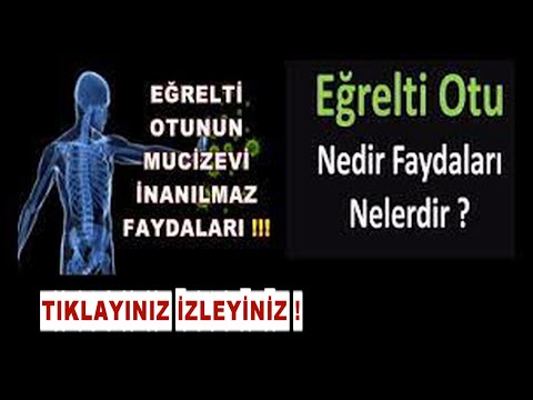 EĞRELTİ OTUNUN MUCİZEVİ İNANILMAZ MUHTEŞEM FAYDALARI !