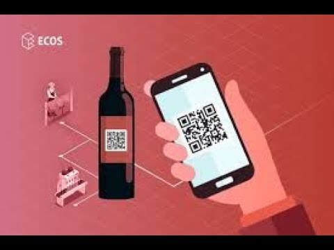 EDC Blockchain   vine blockchain