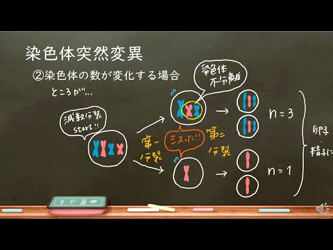 おうち生物　22.  染色体突然変異　※最後音量注意！　(高校生物)