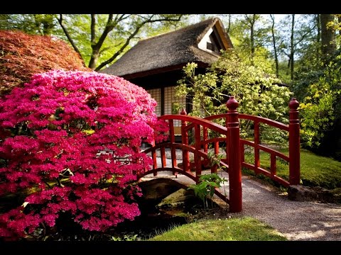 6 Hour Zen Meditation Music: Calming Music, Relaxing Music, Soothing Music, Relaxation Music ☯2345