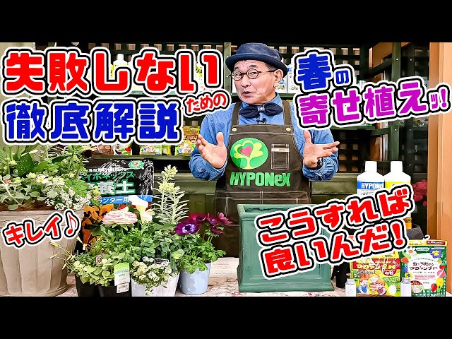 A thorough explanation of spring flower arrangements] No more