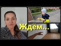 Завтра привезут мебель• Костины увлечения•Будни в Германии 04/22