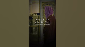 .#أحمد_بن_طالب #سورة_نوح #محمد_ايوب #بندر_بليلة #عبدالله_الجهني #ياسرالدوسري  #explorepage