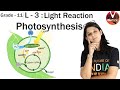 L -3 Photosynthesis in Higher Plants | Class 11 Biology | NEET 2020 | AIIMS | Vaani Ma'am |VBiotonic