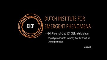 DIEP Seminar: Beyond pairwise model for binary data by Clélia de Mulatier