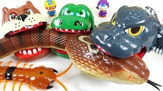 Terrible Giant King cobra appeared! Go! Crocodile, Dinosaurs, Bulldog! - DuDuPopTOY