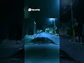 Night Drive 👻 Eerie Streets & Phantom Cars You Won't Believe!