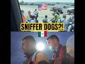 😳 Sniffer Dogs For National Team Players?!