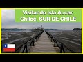 Recorriendo Isla Aucar, provincia de Chiloé, sur de Chile 🇨🇱