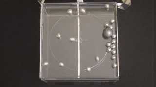 Electric Field-Driven Pellet Collisions