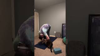#sos for #taichi and #bagua #hamstrings #back rag doll