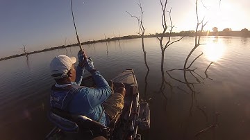Crappie fishing in standing timber from a kayak