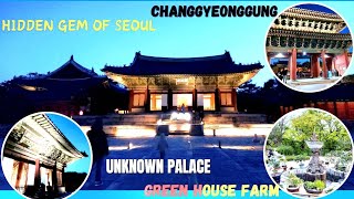 Hidden Gem Place in Seoul|Daeonsil Great Greenhouse|Changgyeonggung palace KDrama Shooting Location