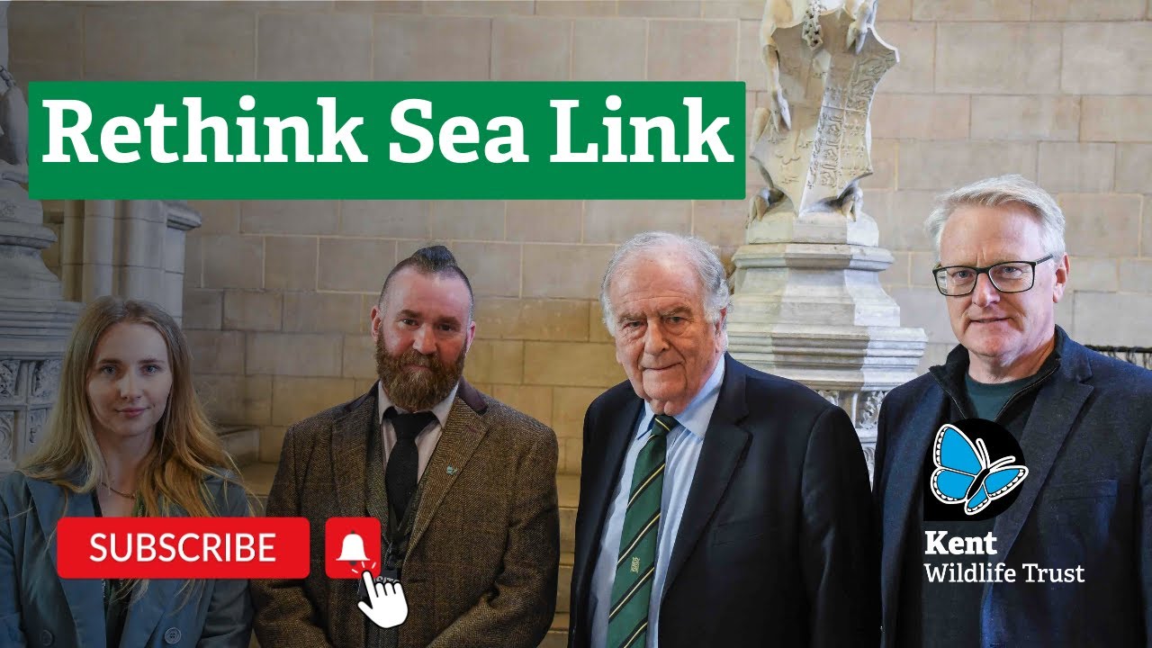 Sir Roger Gale, MP for North Thanet tells National Grid to Rethink Sea Link
