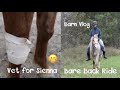 Sienna had a Visit from the Vet &amp; Bare Back Ride - Barn Vlog