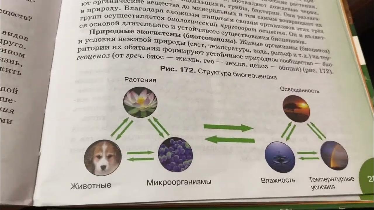 Тест по биологии 7 класс природное сообщество