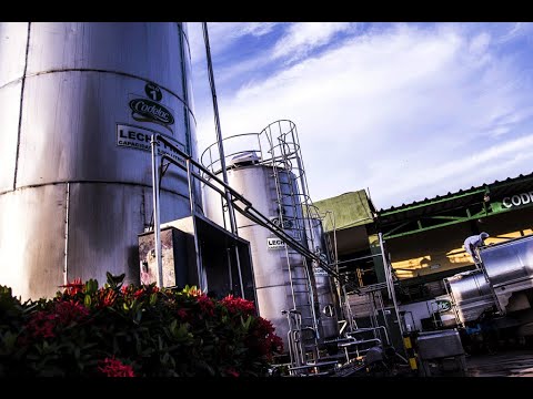 Codelac Video institucional Codelac - YouTube