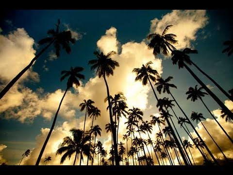 Kauai - The Lost World - Canon 5D Mark II