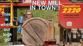 NEW MILL IN TOWN! Sawing up some boards and addressing our recent work incident by Guilty of Treeson @ Eastside Tree Works 88,430 views 2 years ago 19 minutes