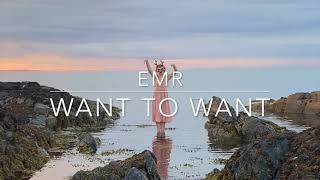 Dreamer - want to want