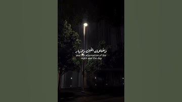 #اكسبلور #المصحف #الرحمن #راحة_نفسية #دويتو #الطحان #لايك  قران كريم .قران .قرأن كريم .قران