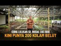 Dulu kuli bangunan kini sukses budidaya belut dan punya 200 kolam terpal