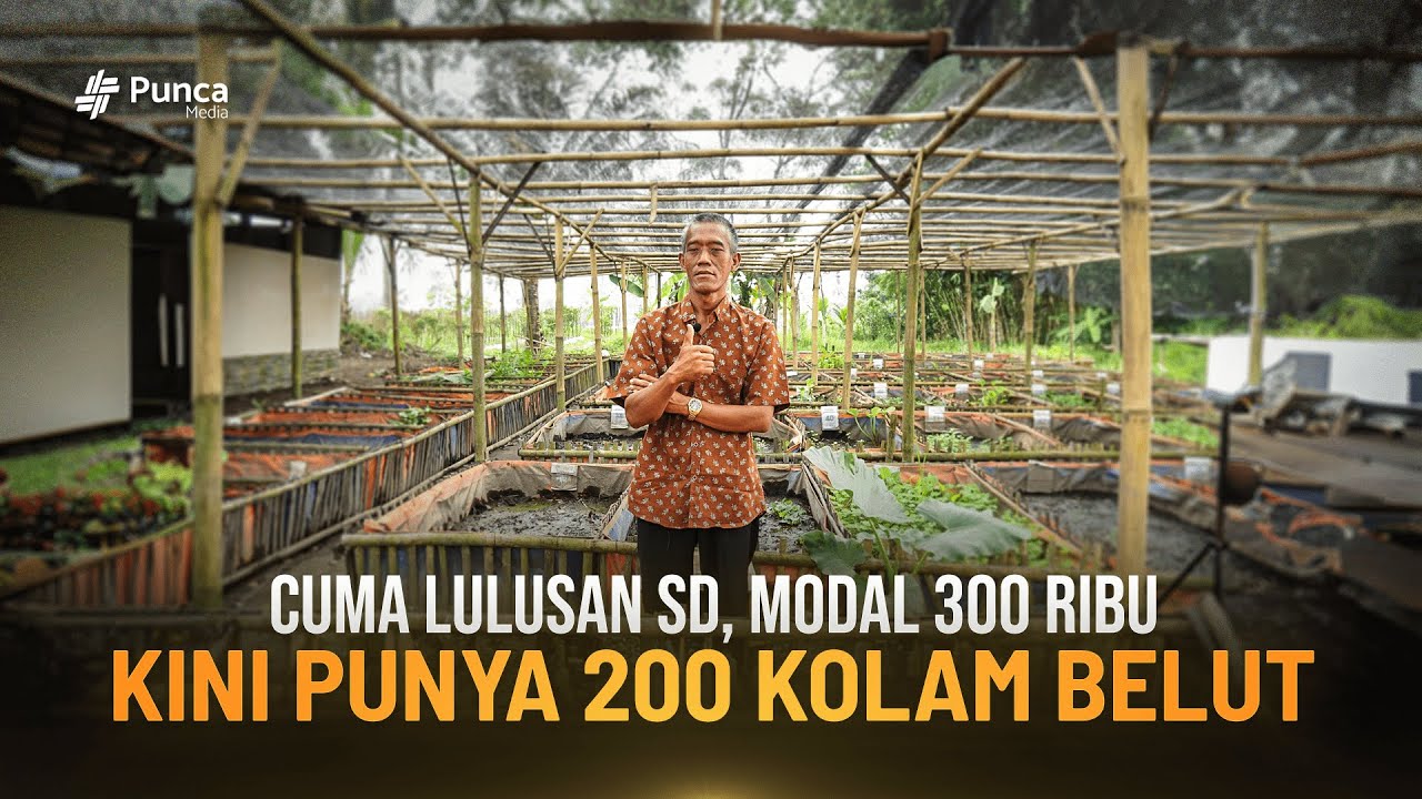 Dulu Kuli Bangunan, Kini Sukses Budidaya Belut dan Punya 200 Kolam Terpal