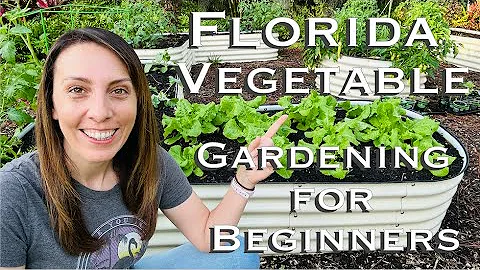 Florida Vegetable Gardening for Beginners