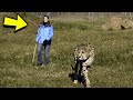 This Girl Sneaked Into The Cheetah&#39;s Cage. What Happened Next Was Shocking