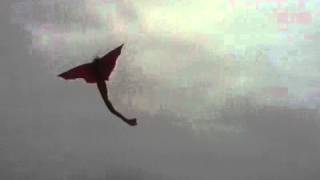 CRAZY BEACH KITE ACCIDENT!