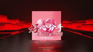 Download Lagu 王力宏 \u0026 卢巧音 - 好心分手 （TANG唐 REMIX） MP3