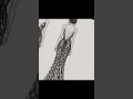 A sleek black-and-white leopard print evening gown, elegantly draped with a deep neckline #fashionn