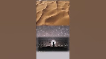 آيات من سورة القلم بصوت القارئ فادي أبو بكر