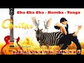 Cha Cha Cha - Rumba - Tango - Guitar Music | Wild Animals 2021