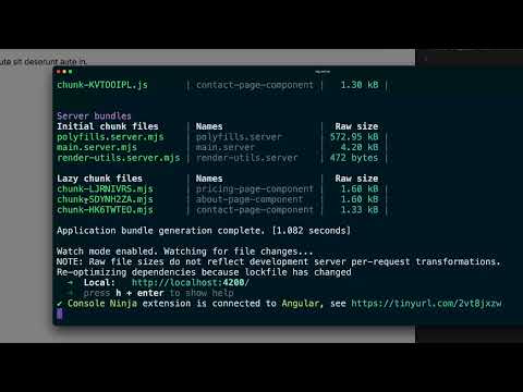 [S5/L05] Angular PRO -  Lleva tus bases al siguiente nivel: Habilitar Server Side Rendering