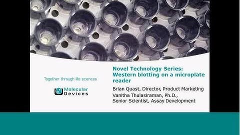 Webinar: Novel Technology Series - Western Blotting on a Microplate Reader