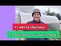 Вы просили! Я показываю! Давно мечтал о таких грядках!